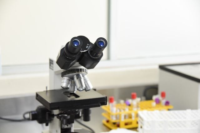 A medical pathology laboratory microscope accompanied by blood samples