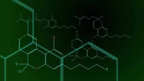 Background image for the Cannabinoid Hyperemesis Syndrome Cureus collection