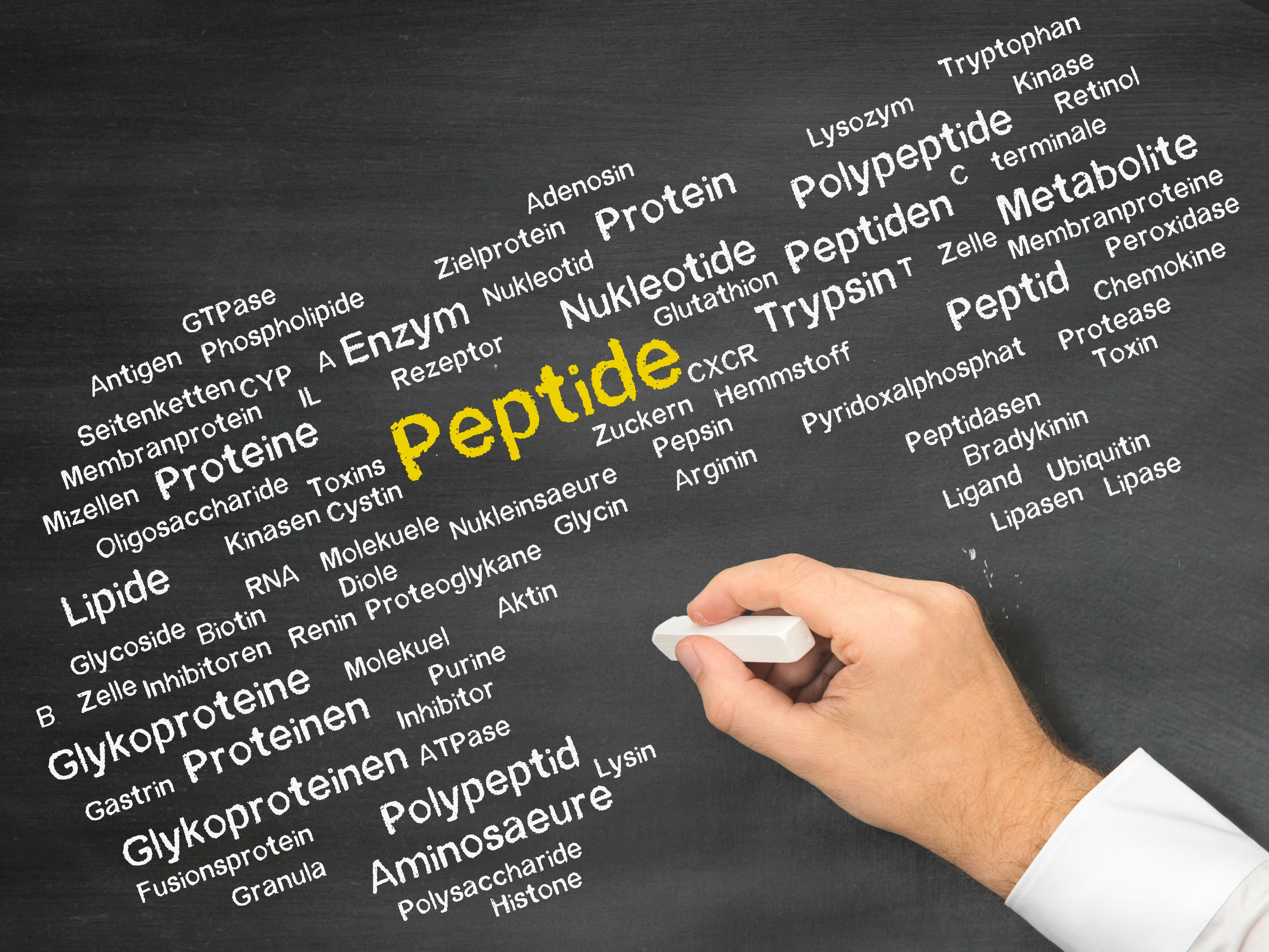 Peptide word cloud on chalkboard 